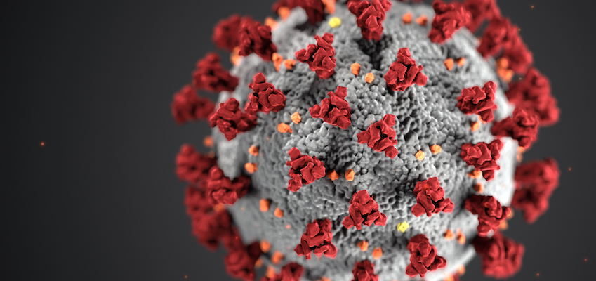 Symbolfoto i förstoring över ett virus.